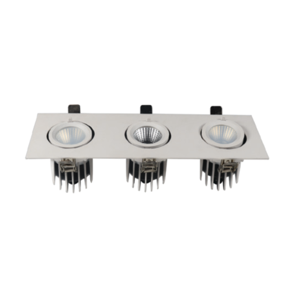 Recessed LED Gimball Zoom light